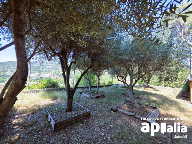 Chalet - Torre - Castellar del Vallès photo 0
