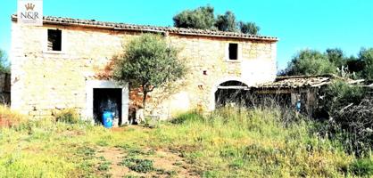 FINCA RÚSTICA BINISSALEM. 44.000 M2 PARC. CASA 130 M2 A REFORMAR. POZO AGUA VENA. 479.000 € photo 0