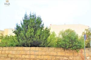 SOLAR URBANO INCA. 512 M2 PARCELA. POSIBIL. CONSTRUIR 9 VIVIENDAS + LOCALES COMERCIALES. photo 0