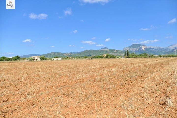 FINCA RÚSTICA EN LLOSETA DE 73.000 M2 CON LUZ Y AGUA photo 0