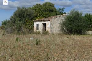 FINCA RÚSTICA CON CASETA Y AGUA EN BINISSALEM photo 0