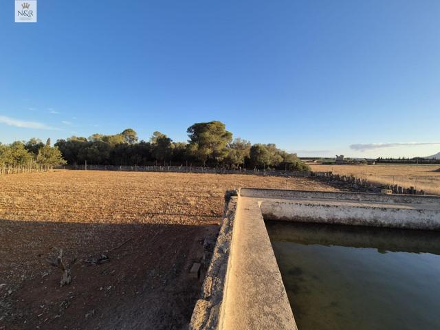 FINCA EDIFICABLE EN MURO CON AGUA photo 0