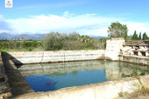 FINCA RÚSTICA CON LUZ ELÉCTRICA Y AGUA EN LLUBÍ photo 0