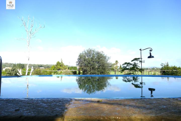 FINCA RÚSTICA CON CASA, PISCINA, LUZ Y AGUA photo 0