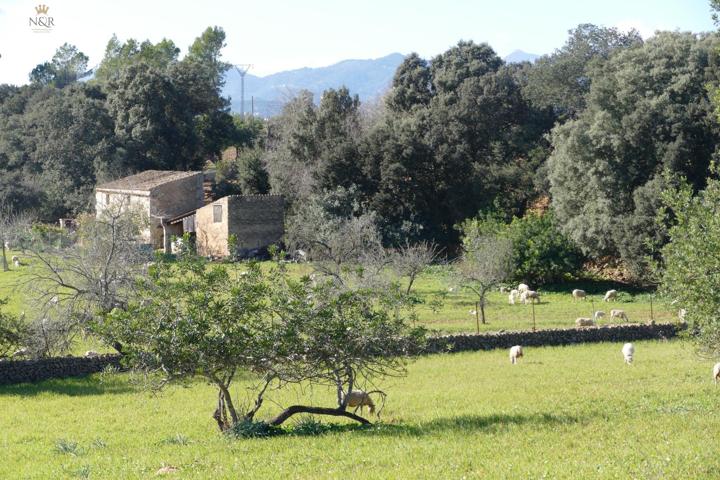 FINCA EDIFICABLE CON VISTAS A LA MONTAÑA photo 0