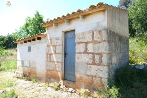 FINCA VALLADA CON CASETA Y ALJIBE photo 0
