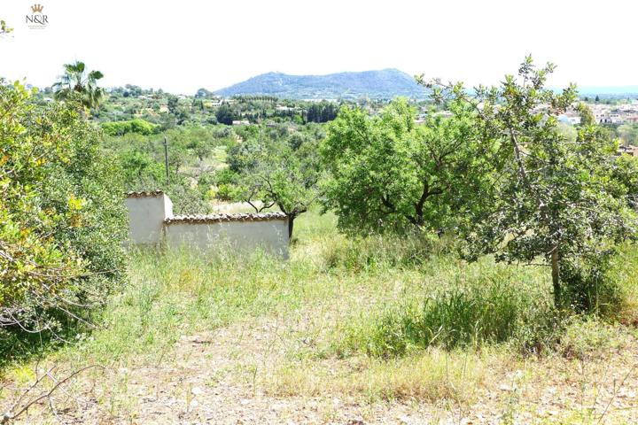 FINCA VALLADA CON CASETA Y ALJIBE photo 0