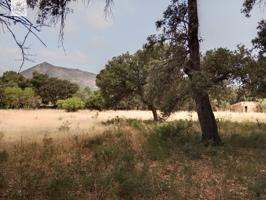 FINCA EN INCA CON CASETA photo 0