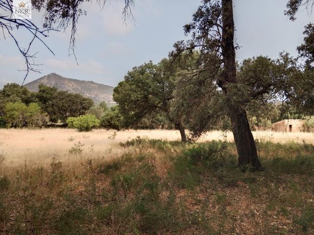 FINCA EN INCA CON CASETA photo 0