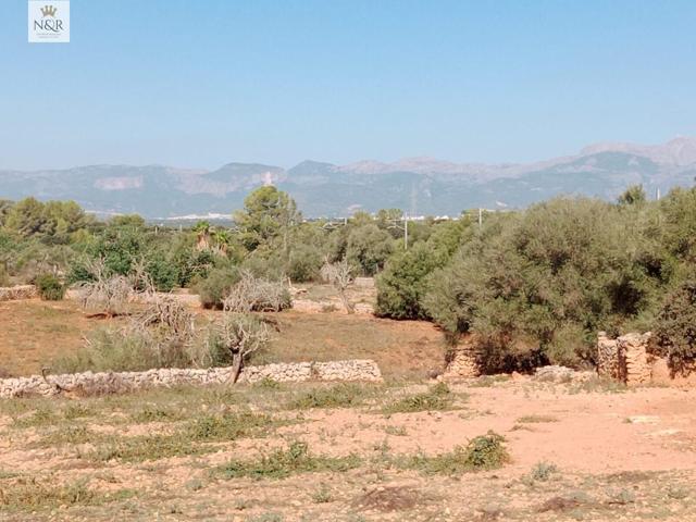 FINCA EDIFICABLE CON CASA PARA REFORMAR photo 0