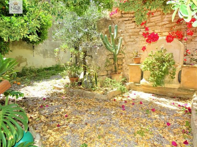 CASA DE PUEBLO EN BINISSALEM CON JARDÍN photo 0