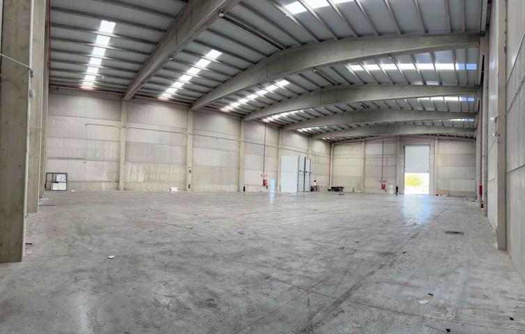 Nave Logística en Chiloeches photo 0