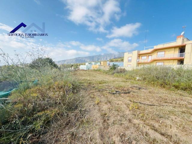 Escapa del ruido, conecta con la tierra en tu propio rincón agrícola en Arafo photo 0