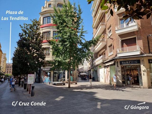 Vivienda señorial amueblada de 2 dorimitorios y 2 baños, para alquiler de larga temporada photo 0