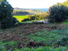 Tres fincas urbanas en Lagoa (Chamín-Barrañán) photo 0