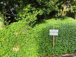 Se vende finca urbana en Pasacondia, Malpica de Bergantiños photo 0