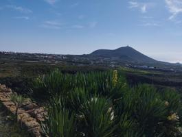 Terreno Agrícola en Viña Vieja photo 0