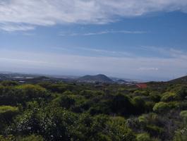 Terreno Agrícola en Viña Vieja photo 0