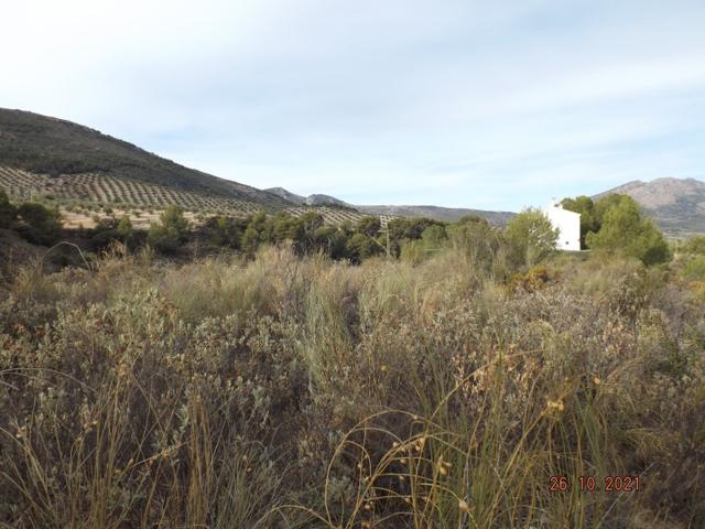 Terreno Urbanizable En venta en Otiñar O Santa Cristina, Jaén photo 0