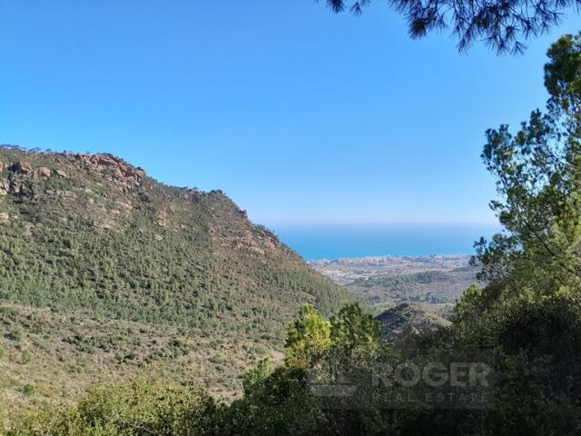 Terreno Urbanizable En venta en Benicasim - Benicàssim photo 0
