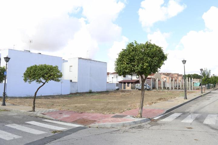 SOLAR URBANO ZONA ALGODONERA photo 0