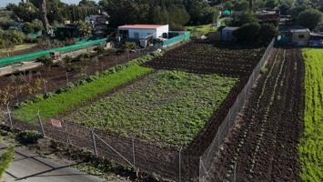 TERRENO RUSTICO EN ZONA LAS ARCAS photo 0