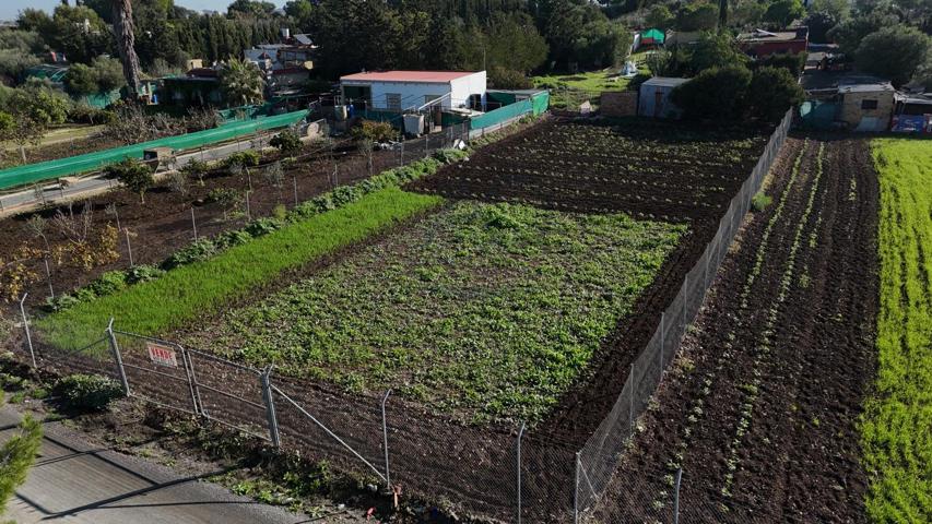TERRENO RUSTICO EN ZONA LAS ARCAS photo 0