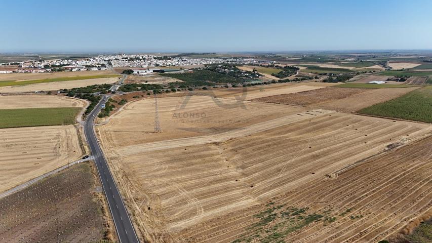 TERRENO RUSTICO EN ZONA LA CALZADILLA photo 0