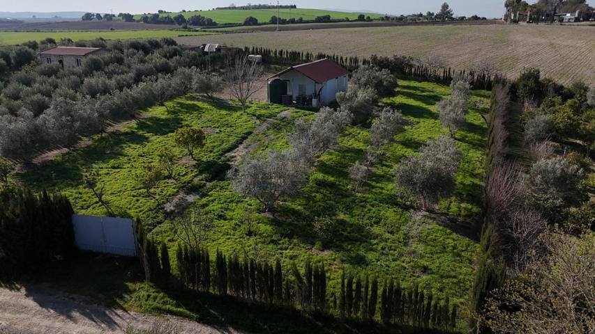FINCA RUSTICA EN ZONA TORRALVA photo 0