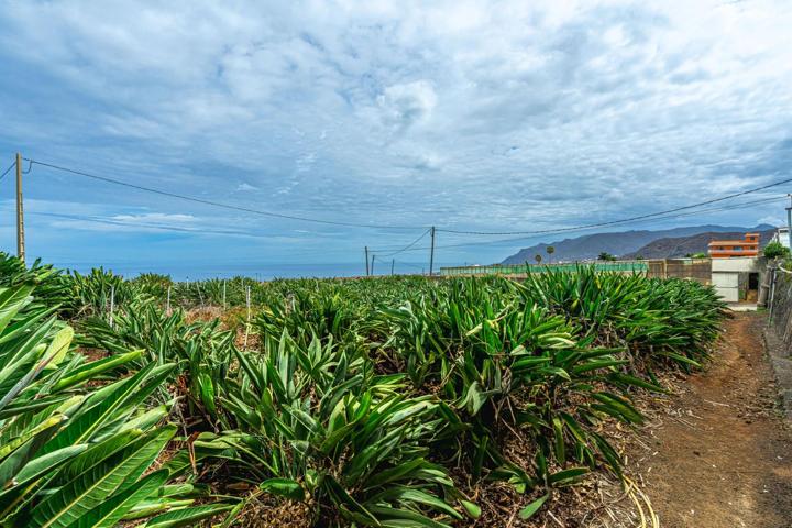 Finca Hortícola funcionando en Valle de Guerra, La Laguna photo 0