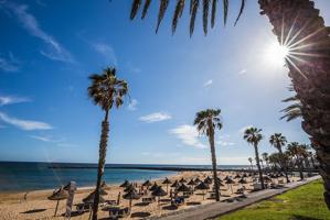 Negocio en Playa De Los Cristianos photo 0