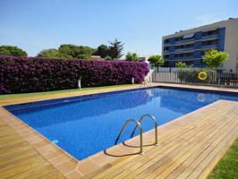 Atico con solarium, piscina, plaza de garaje y trastero en la zona de la playa photo 0