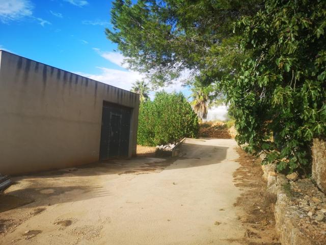 Terreno Urbanizable En venta en Ulldecona, Ulldecona photo 0