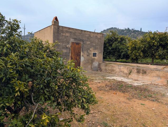 FINCA DE NARANJOS CON CASITA Y VISTAS AL MAR !! photo 0
