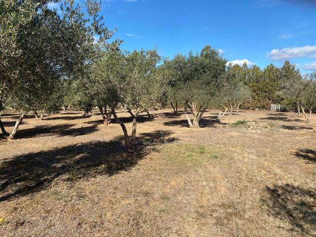 Finca rústica con casa en venta en Cabanas (Alt Emporda) photo 0