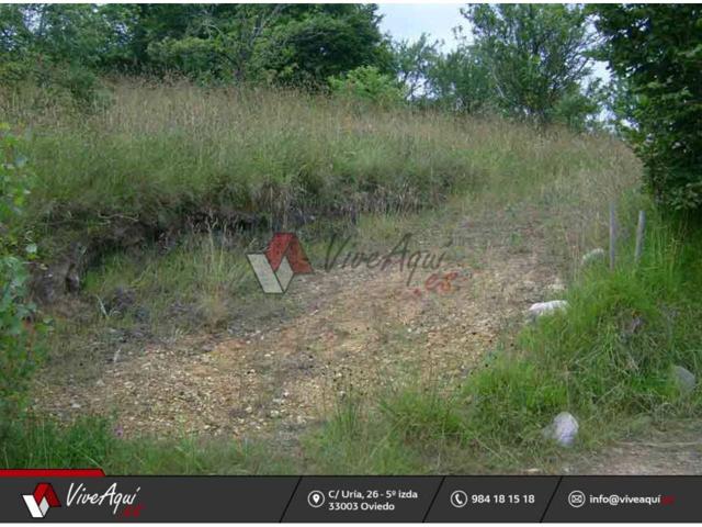 FINCA EDIFICABLE EN LA ZONA DE SAN JUSTO, VILLAVICIOSA photo 0