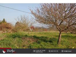 Finca soleada en Careñes, Villaviciosa, finca edificale con pomarada y frutales photo 0