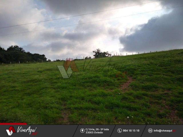 En Villaviciosa, finca edificable y parcelable de 6933m2. photo 0