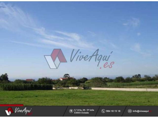 FINCA EDIFICABLE DE 1250 M2, en zona de Villaviciosa. photo 0