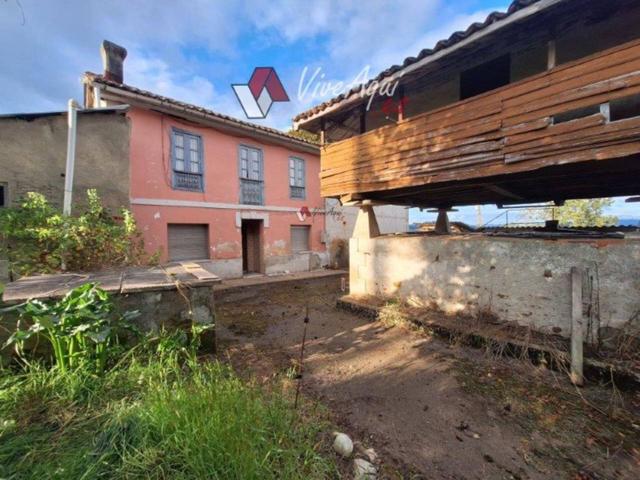 Venta zona Nava. Casa de piedra para rehabilitar con hórreo y cuadra, en una finca edificable de 12.300m2. photo 0