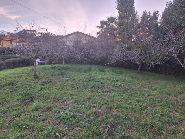 Terreno en venta en Colunga a 5 minutos de la playa de la Griega photo 0
