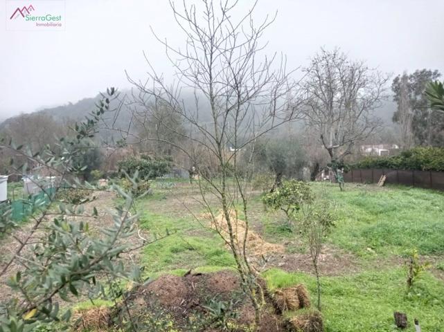 VENTA PARCELA ENTORNO TAVIZNA photo 0