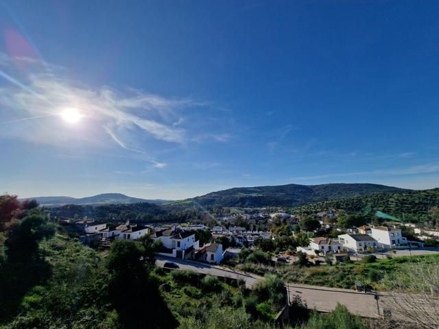 VENTA PISO PLANTA BAJA Y ESTUDIO EN BRUTO. EL BOSQUE photo 0