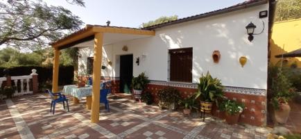 VENTA PARCELA CON CASA Y PISCINA. UBRIQUE photo 0