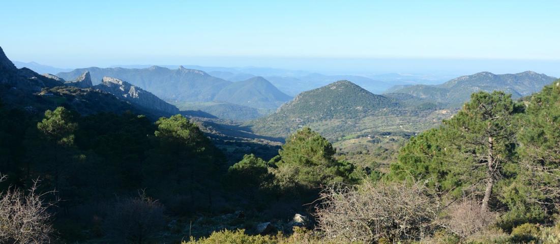 VENTA PARCELA ALREDEDORES DE EL BOSQUE photo 0