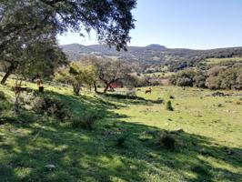 VENTA FINCA RÚSTICA CORTES DE LA FRA. photo 0