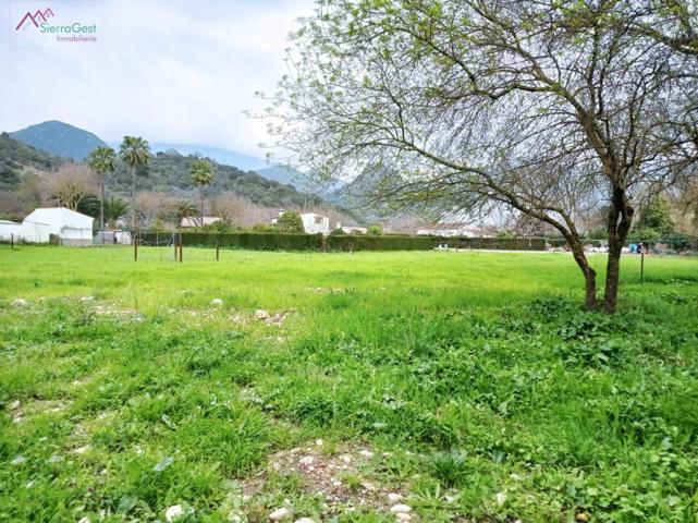 VENTA PARCELAS TAVIZNA photo 0