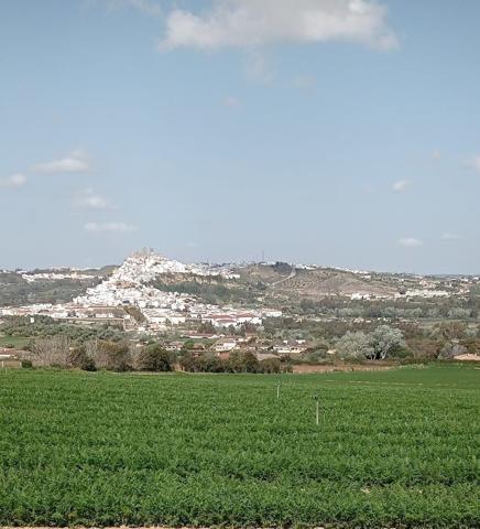 VENTA PARCELA ARCOS DE LA FRA. photo 0