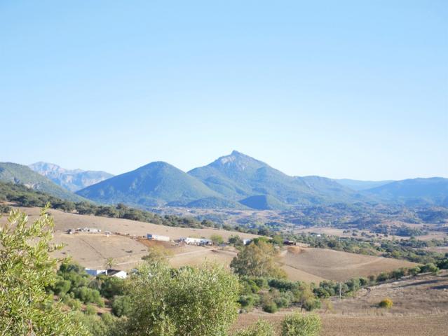VENTA PARCELA PRADO DEL REY photo 0