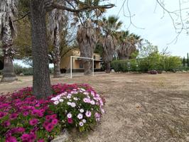 VENTA PARCELA CON CASA Y PISCINA. VILLAMARTIN photo 0